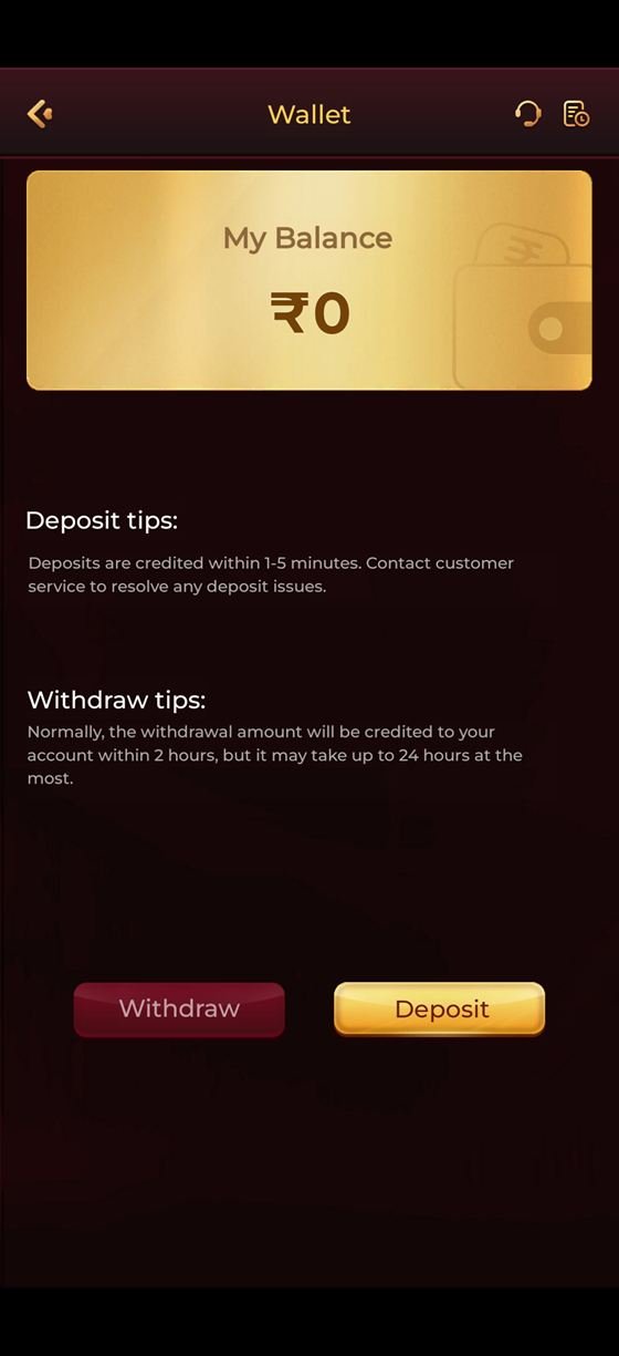 Y1 Game app wallet screen showing the rupee balance with deposit tips and withdrawal tips